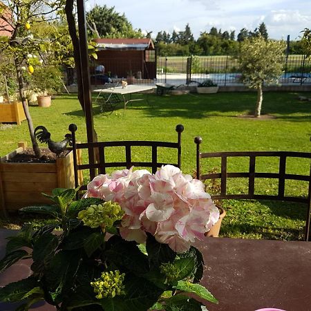 Bed and Breakfast Fleur De Garance Le Thor Esterno foto